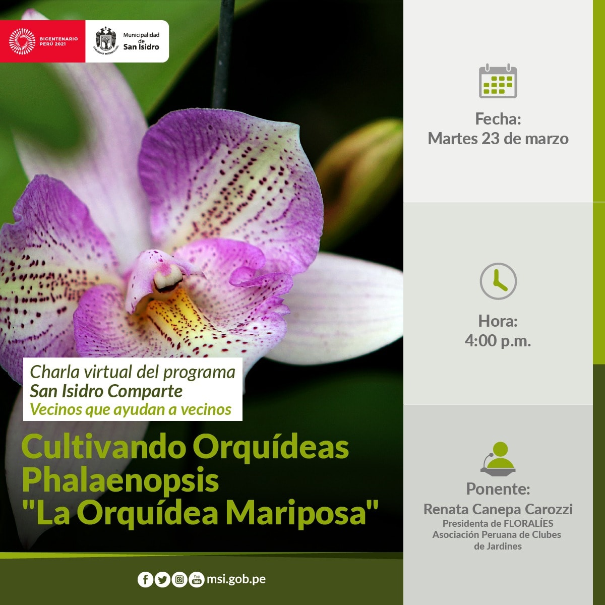 Proyecto • Cultivando orquídeas Phalaenopsis 